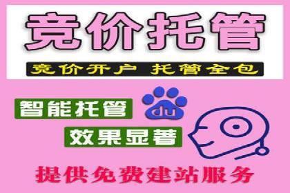 SEM托管公司经典案例分享与启示